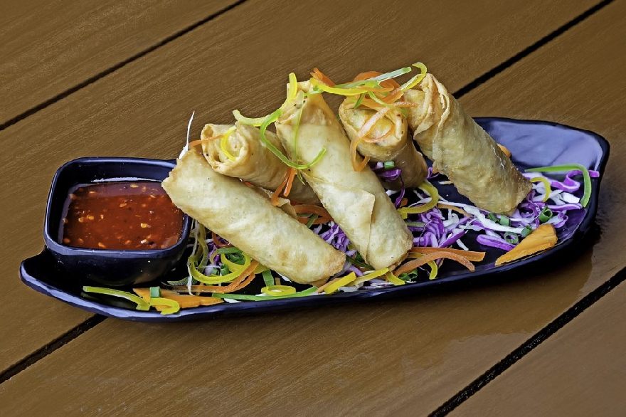 Spring rolls on a plate